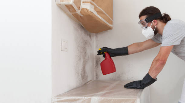 Professional Commercial Mold Remediation technician working in Prides Crossing, MA